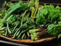 【早期予約■山菜祭／お土産付】6月の一番美味しい山菜を詰め込んだ特製山菜御膳