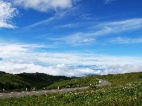 【１泊２食／夏の基本プラン】 ★当館イチオシ★ 生でも美味しい！契約農家の高原野菜と絶品タンシチュー