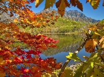 【秋に色づく戸隠】明るくなった森を歩こう！秋の爽やかな越水ヶ原をのんびり散策プラン【1泊2食付】