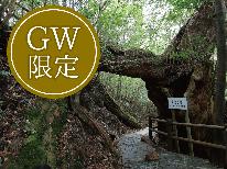 【GW限定×連泊】人気の創作コースでおもてなし☆屋久島満喫プラン♪
