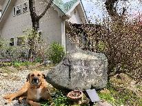 【素泊まり】貸別荘「バケーションhouse我忘」～家族・グループ旅行に～　★HP限定ワンちゃん1頭まで無料★