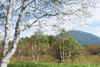 日光の花と野鳥を満喫!「初夏」・自然ガイド付ハイキングプラン・平日宿泊