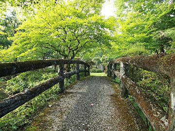 梅屋敷旅館