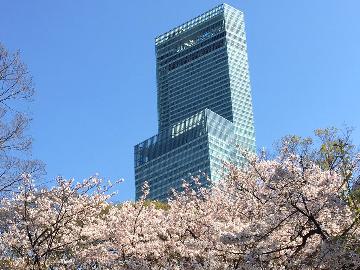 関西限定!てんしばでお花見&ピクニック☆がんこ特製弁当付き