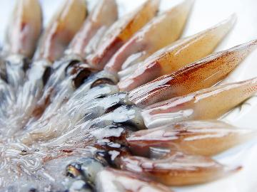 山陰の春を呼ぶ≪ほたるいか満喫会席≫ここでしか食べられない！を堪能◎温泉貸し切り♪
