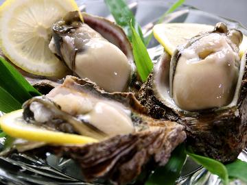 【-夏-天然岩牡蠣×特選★但馬牛の会席】牡蠣も但馬牛も楽しむ格別な時間♪貸切温泉