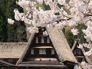 【春得】◎世界遺産合掌造り集落の春　A５ランク氷見牛や旬の山菜満喫♪純米吟醸酒付プラン