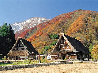 【秋得】２食付き★A5ランク富山県産氷見牛と秋の味覚満喫♪地酒三笑楽純米吟醸酒付プラン