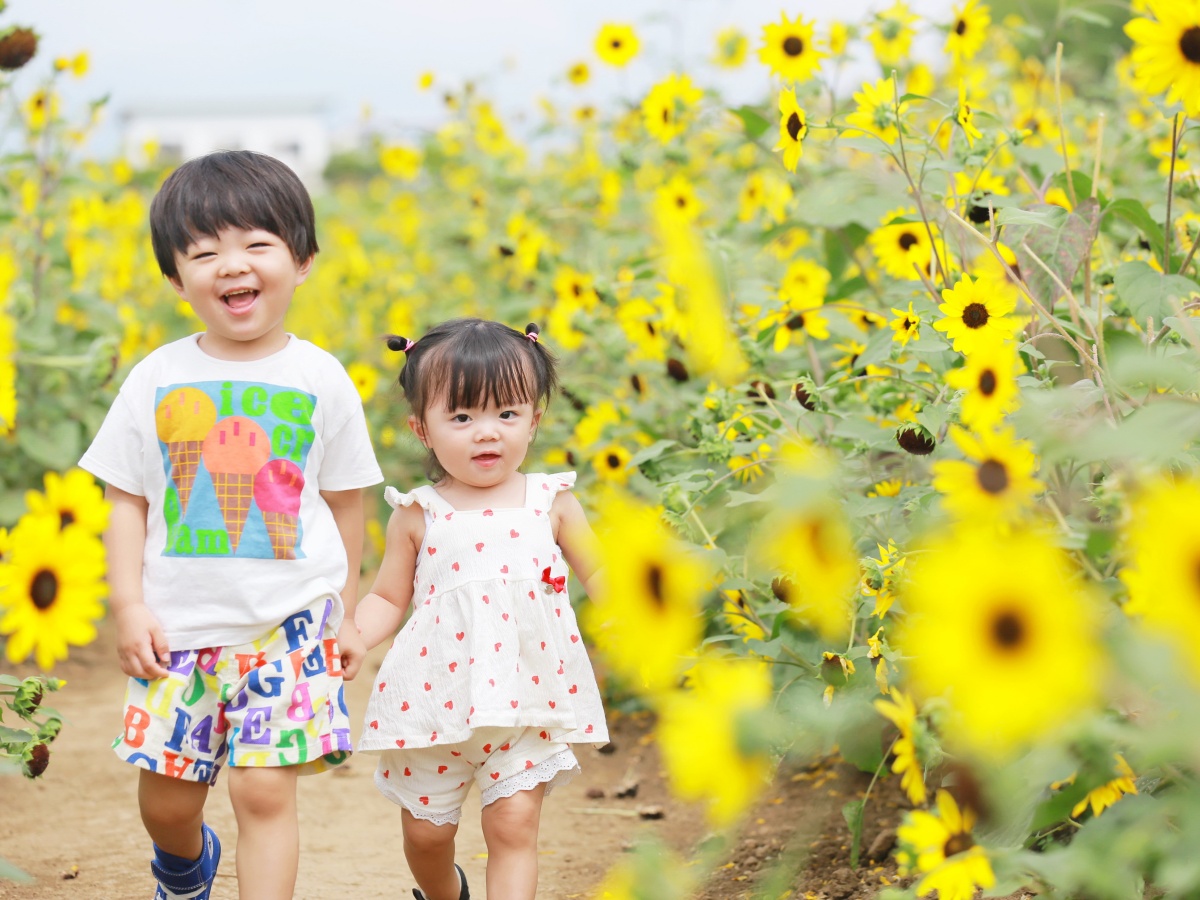 ●HP限定価格●～ひまわり畑で夏の想い出～北杜市明野サンフラワーフェス会場まで車で30分【カメラマン撮影付き】
