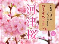 【河津桜まつり】今年もやってきました◆桜の舞◆河津桜を特別な会席と共に楽しむ・。*　-RDB-