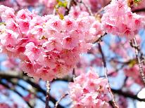 【河津桜満開！平日がお得◆2食付きプランを2,000円引】ラグジュアリーコース『空(Sora)』鮑・伊勢海老・金目鯛・黒毛和牛を中心とした豪華創作コ