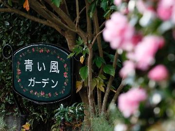 青い風ガーデン