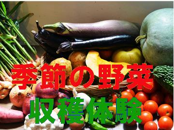 【野菜収穫体験】収穫した野菜はお土産に♪◆手作り豆腐会席を味わう！スタンダード≪2食付≫