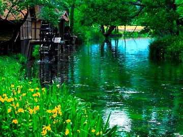 【連泊割引／素泊まり】お盆はゆっくり安曇野旅行☆1泊お一人様500円お得！自由に安曇野を満喫♪