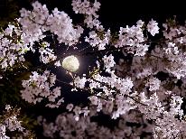 【春限定・1日3組】お部屋から夜桜を愛でる特別なひととき～お菓子とお茶の特典付き贅沢お花見～