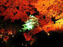 【期間限定】紅葉満喫★郡上八幡城もみじまつりプラン ～旦那の気まぐれおまかせコース～[1泊2食付]