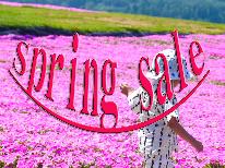 【春限定spring sale】”20％OFF”季節限定の特別プラン《1泊2食付》【HP限定価格!!】