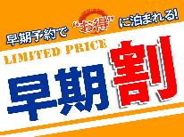 早割２１【素泊まり】≪２００円引き≫施設は古いですが…温泉には自信アリ☆源泉かけ流しのモール泉♪