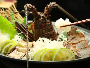 【夕食のみ】～磯会席プラン～【海鮮食材の饗宴♪】なんと伊勢海老のお造りが一人1尾付いてきちゃう♪