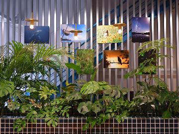 【季節の長期休暇♪ファミリー限定】今だけお子様料金10%OFF★家族で奄美旅行応援<素泊り>