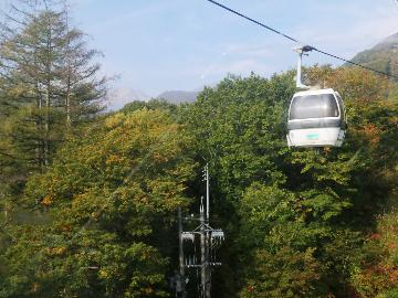 【雲上のお花畑】 栂池自然園入園券＋パノラマウェイ往復乗車券 らくらく宿泊パック 【1泊2食】