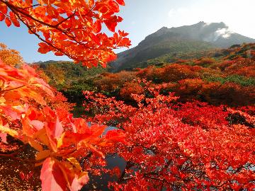 【特典付】紅葉に囲まれたログコテージでＢＢＱ☆ゴンドラから秋色に染まる那須高原を一望！《1泊夕食付》
