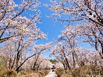。*桜咲く高原の春*。GWにお花見♪「お箸で食べる欧風コース料理」を召し上がれ！■1泊2食付