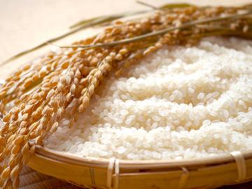 【特典付】＼自家製米ひとめぼれ新米プレゼント／地元食材の懐石と秋の味覚堪能の温泉旅［2食付／個室食］