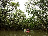 ◆マングローブカヌーツアー◆風光の島☆奄美の大自然に触れる体験～マングローブ林をカヌーで～