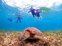 ◆亀シュノーケリングツアー◆奇跡の島☆奄美の海へ冒険にでかけませんか？ウミガメと一緒に泳ごう！