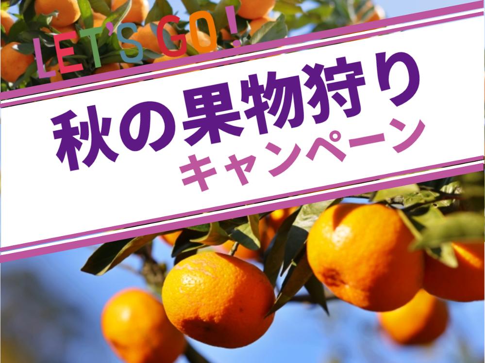 【 みかん収穫体験 】クッチェッタコース ◆三ケ日みかん収穫体験チケット付きプラン