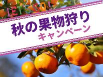 【 みかん狩り 】クッチェッタパエリア ◆三ケ日みかん狩りチケット付きプラン