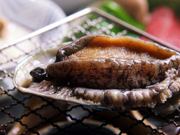 【房総のうまいもん＊食べ尽くし】鮑×獲れたて地魚★大満足コース！