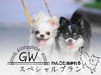 【GW特別割引】一室限定☆愛犬と一緒に泊まれるお部屋がお一人最大3,500円引き♪【一泊二食】
