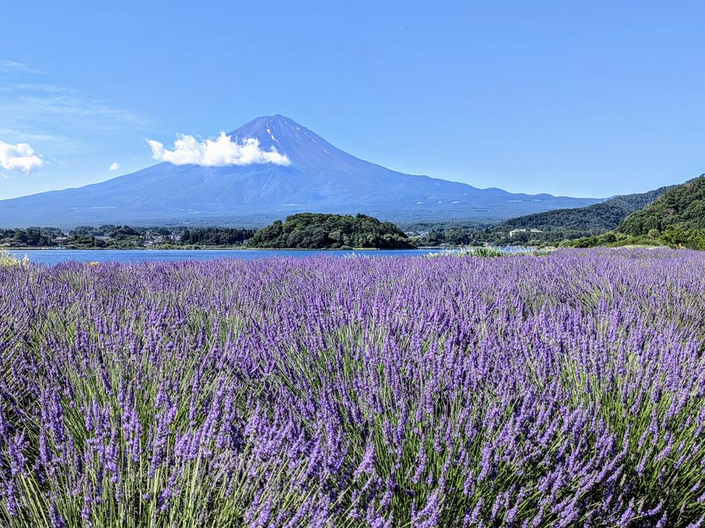 富士を望む初夏の河口湖 のんびりステイ◆素泊まり