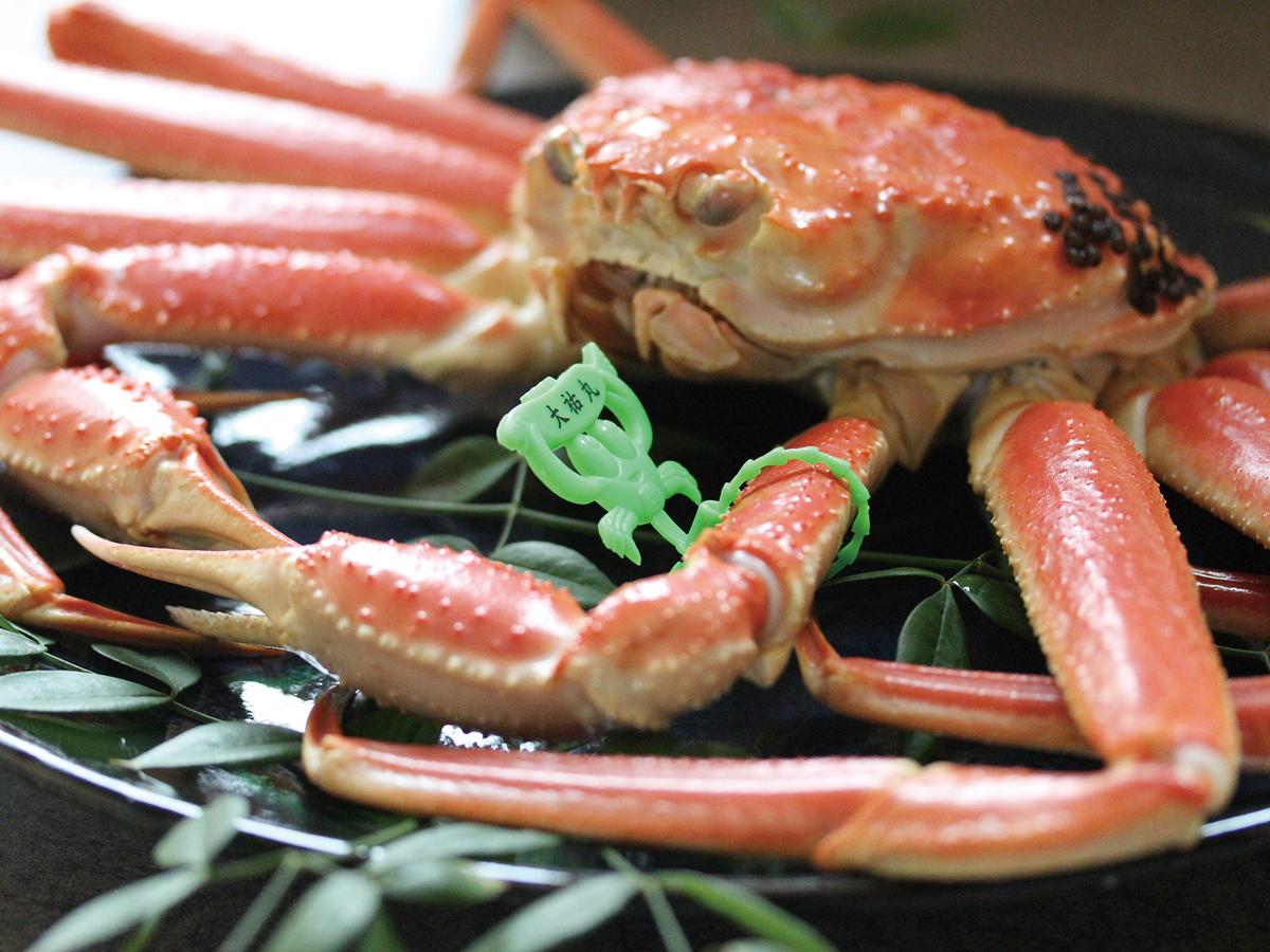 桜もカニ刺しも満開！【春限定】タグ付き【活】香住ガニ贅沢2匹フルコース＋お得に選べる但馬牛１品コース