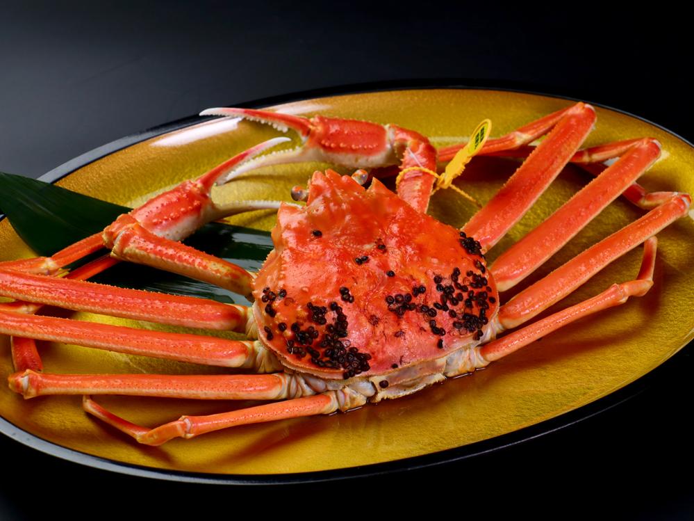 ＨＰご予約プレゼント付き！【越前ガニを食べ尽くせ！】カニ尽くしフルコース[1泊2食付]