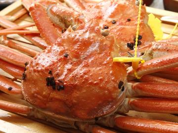 【味覚の王様】冬といえばカニ☆ブランド活ガニ使用！タグ付き松葉がにプラン