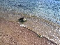 塩浜海水浴場まで車で6分！海の幸を満喫◆豪快！！舟盛りプラン
