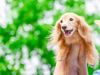 【ワンちゃん同伴】板長厳選！＋１（ワン）プラン【2食付】≪朝夕個室食事処≫
