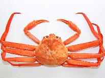 【冬といえばカニ】日本海の冬が味わえる♪＜紅ズワイガニ＞お一人様 まるごと一杯付き～