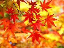 お日にち限定プラン★秋の行楽シーズン到来★旬の味覚を味わい、絶景の紅葉露天も楽しめる♪【1泊2食付】