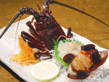 【伊勢海老】2食付◆鮮度抜群！新鮮な伊勢海老を「お造り」or「鬼殻焼き」で海の恵みプラン