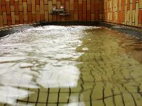 【現地現金決済】★大特価素泊まり★　1名４５００円～、2名以上４０００円～《冬季～GW》