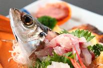 ◆初夏限定！格安サービスプラン◆鯵の活き造り＆お刺身盛り合わせを中心に特別メニューを堪能♪