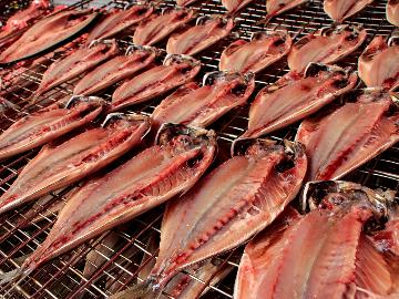 【アジの干物☆開きを体験しよう！】お夕食は新鮮魚介とサザエのつぼ焼き♪