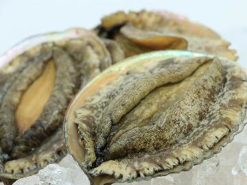 アワビコース◆磯グルメ!調理法チョイス【お造りor踊り焼き】♪鮮味満喫!-2食付-