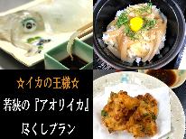 [HP限定価格]【期間限定】イカの王様！若狭の『アオリイカ』尽くしプラン［関西テレビよーいドン放映★石田靖絶賛］