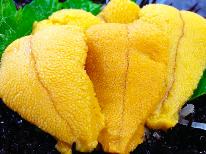 ［HP限定価格］当館自慢のプレミアムプラン★贅沢を味わうならこのプラン！あわび、さざえ、ウニ全部付き♪【1泊2食付】