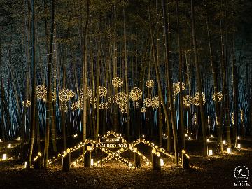たがみバンブーブー◆当館より車で５分の椿寿荘へ！夜間の幻想的に光る竹林アートを見に行こう！